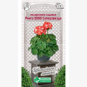 Пеларгония РИНГО 2000 СУПЕРЗВЕЗДА 3 шт/ Евросемена