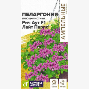 Пеларгония Рич Аут F1 Лайт Парпл плющелистная/Сем Алт/цп 3 шт. Ампельные шедевры НОВИНКА