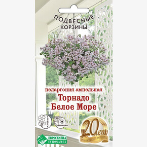 Пеларгония Торнадо Белое Море/ Евросемена