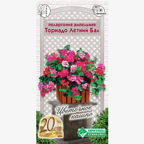 Пеларгония Торнадо Летний бал/ Евросемена