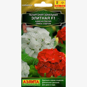Пеларгония Элитная красно-белая 5шт/ Аэлита