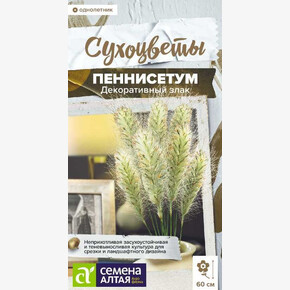 Пеннисетум злак декоративный/Сем Алт/цп 5 шт. СухоНОВИНКА