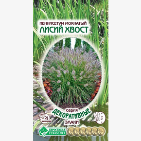 Пеннисетум ЛИСИЙ ХВОСТ мохнатый 5 шт/ Евросемена