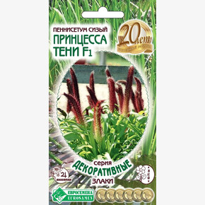 Пеннисетум Принцесса тени 3шт/ Евросемена