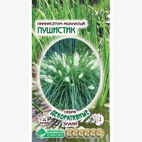 Пеннисетум ПУШИСТИК (5 шт)/ Евросемена