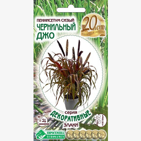 Пеннисетум Чернильный Джо/ Евросемена