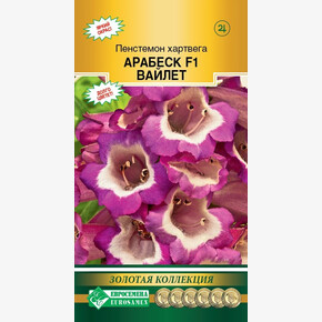 Пенстемон Арабеск Вайлет 3шт/ Евросемена ШК