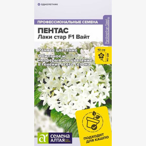 Пентас Лаки стар Вайт ланцетовидный/Семена Алтая/цп 3 шт