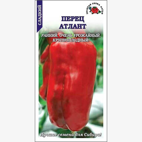 Перец Атлант/ Сотка
