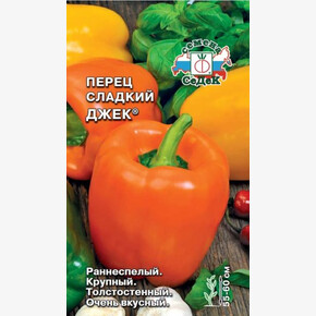 Перец Джек /Седек/