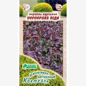 Перилла ПУРПУРНАЯ ЛЕДИ 0,1 гр/ Евросемена
