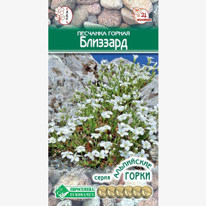 Песчанка Близзард/ Евросемена