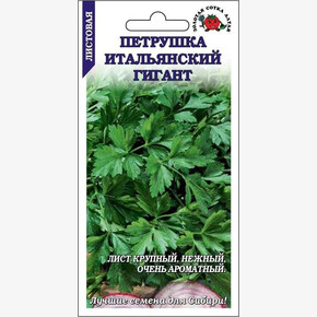 Петрушка Итальянский гигант/ Сотка
