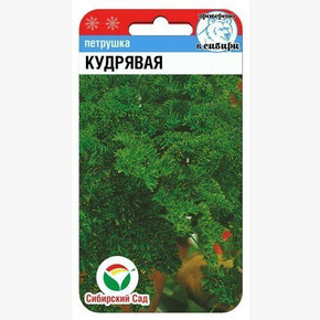 Петрушка Кудрявая/ Сибсад