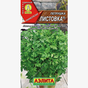 Петрушка Листовка/ Аэлита