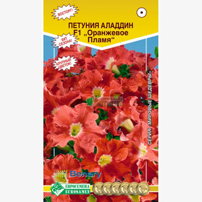 Петуния Аладдин ОРАНЖЕВОЕ ПЛАМЯ10 драже
