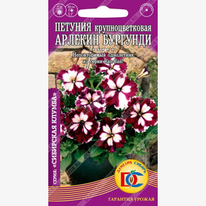 Петуния Арлекин Бургунди F1/10 шт Дем Сиб/