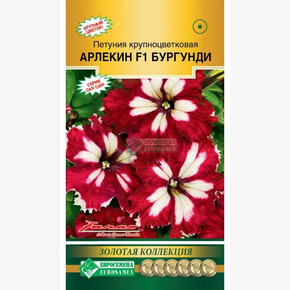 Петуния Арлекин Бургунди/ Евросемена