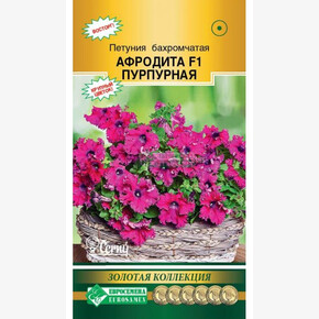 Петуния Афродита Пурпурная/ Евросемена