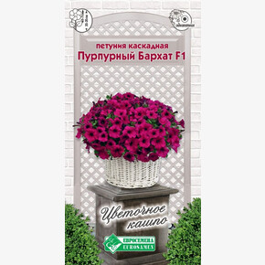 Петуния Бархат F1/ Евросемена