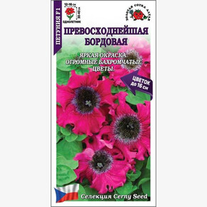 Петуния Бордовая F1 /Сотка/ 10шт/ бахром. h-40см d-16см Cerny/*500