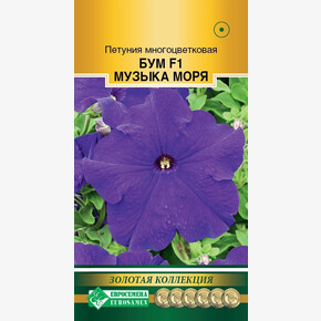 Петуния Бум Музыка Моря F1/ Евросемена