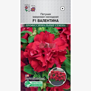Петуния ВАЛЕНТИНА (10 драже) /PanAm Seeds/ Евросемена