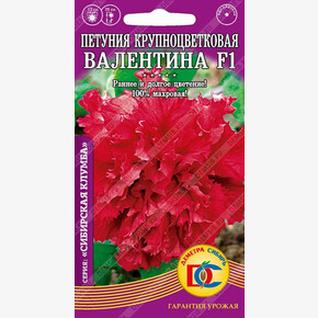 Петуния ВАЛЕНТИНА F1 /10 шт Дем Сиб/