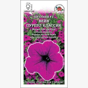 Петуния Вейв Пурпул классик F1 /Сотка/ 5шт/ ампел. h-122см, d-7см/*500