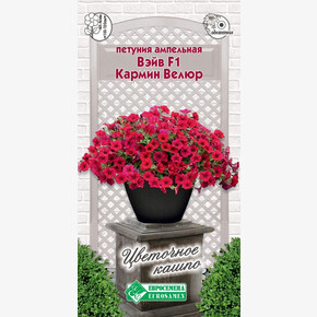 Петуния ВЭЙВ КАРМИН ВЕЛЮР 3 шт/ Евросемена