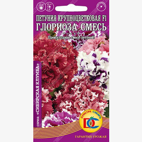 Петуния ГЛОРИОЗА смесь F1 /10 шт Дем Сиб/