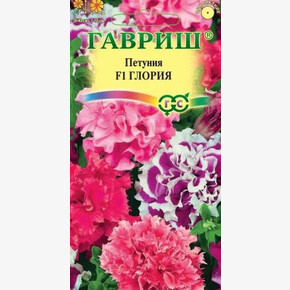 Петуния Глория 7шт/ Гавриш