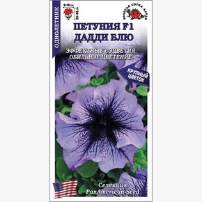 Петуния Дадди Блу/ Сотка
