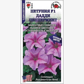 Петуния Дадди Пепперминт /Сотка/ 10 шт/h-40см d-10см