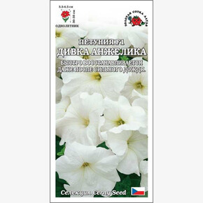 Петуния Дивка Анжелика F1 /Сотка/ 10шт/ белая h-35см d-6,5см/*500