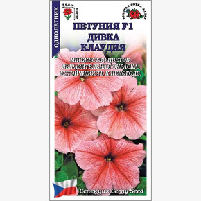 Петуния Дивка Клаудиа /Сотка/