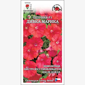 Петуния Дивка Марика/ Сотка