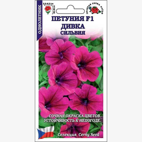 Петуния Дивка Сильвия/ Сотка