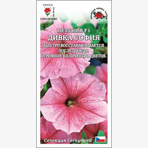 Петуния Дивка София /Сотка