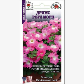 Петуния Дримс Роуз Морн F1 /Сотка/ 10шт/ роз.-бел. h-40см d-10см/*500