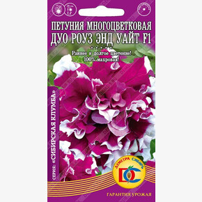 Петуния Дуо РОУЗ ЭНД УАЙТ F1 /10 шт Дем Сиб/