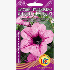 петуния Дэдди Орхид F1 грандифлора /10 шт Дем Сиб/