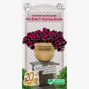 Петуния Изи Вэйв Бургунд Велюр F1/ Евросемена