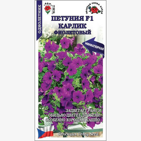 Петуния Карлик Фиолетовый/ Сотка
