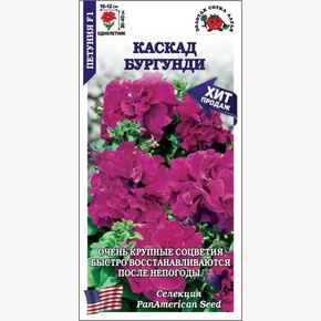 Петуния Каскад Бургунди / Сотка