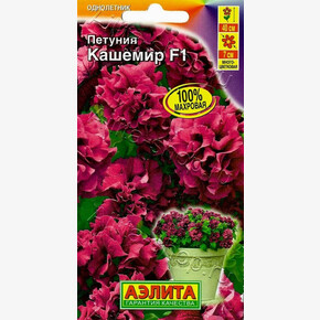 Петуния Кашемир 5шт/ Аэлита
