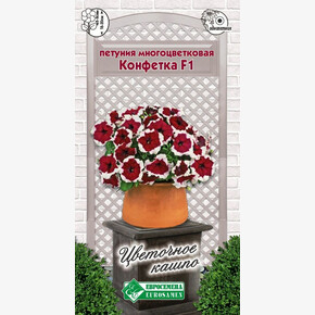 Петуния Конфетка F1/ Евросемена