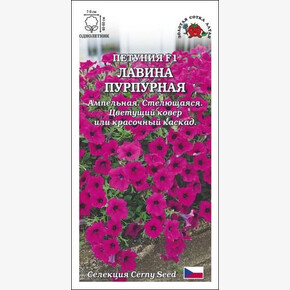 Петуния Лавина Пурпурная /Сотка