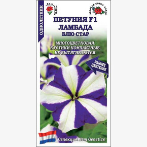 Петуния Ламбада Блу стар /Сотка/ 10 шт