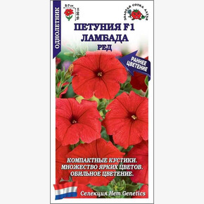 Петуния Ламбада Ред /Сотка/ 10 шт